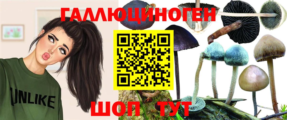 Псилоцибиновые грибы прущие грибы  Вход с VPN  Узловая 
