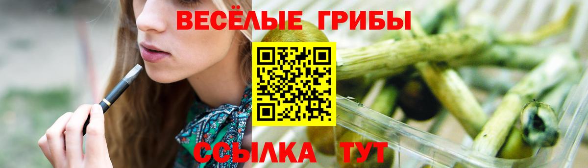 Псилоцибиновые грибы Psilocybe Узловая